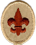 Scout.gif