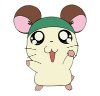 Cappy hamster