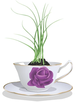 Cup Plant | Stardoll Wiki | Fandom
