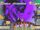 Sammer’s Kingdom