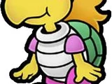 Koopie Koo