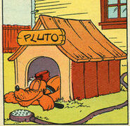 Pluto6