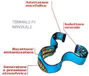 Terminale individuale PV