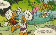 il laghetto