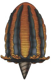 Favo d'invasione.jpg
