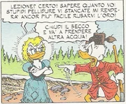 Acqua