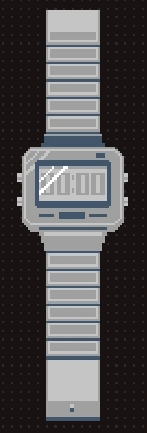 Danic watch