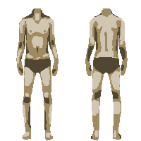 Body 5.png