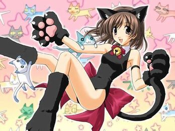 Cute cat 2.jpg