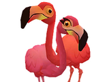 Te Amos Flamingos