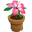 Gazebo event potted flower.png