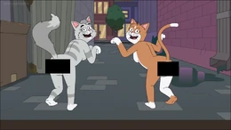 Cat Butts (Censored)