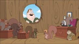 Randall is Squirrel Court