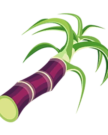 Cana De Azucar Paradisebay Wiki Fandom De esta planta se extrae el azúcar que se usa para endulzar habitualmente en un café u otra infusión. cana de azucar paradisebay wiki fandom