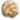 Shell large