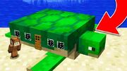 Turtlerank.jpg