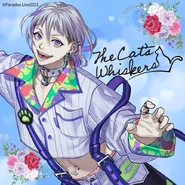 Solo Image (Exhibiton)