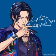 Solo Image (Exhibition)