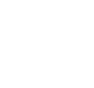 Signature SVG