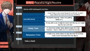 2022 Peaceful Night Routine (Alt text in file description)