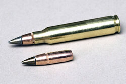 5.56mm AN