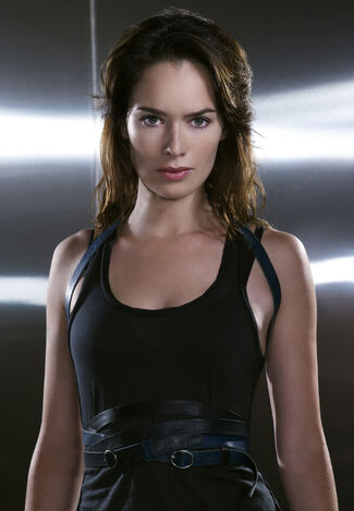 Terminator-the-sarah-connor-chronicles-lena-headey-4533486-1523-2200