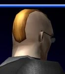 Fighthawk-back.jpg (3 KB) Fighthawk