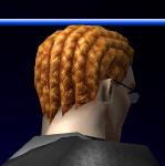 Cornrow-back.jpg (4 KB) Cornrow