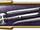 Thorn Usurper Badge
