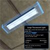 Large fluorescent light