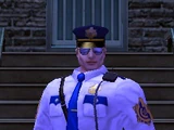 PPD Cop Costume
