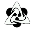 Emblem V Cage Consortium 01
