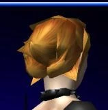 Shimmer-back.jpg (4 KB) Shimmer