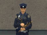 Sgt. Suzanne Bernhard