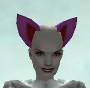 Wild Cat Ears