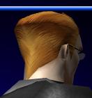 Swift-back.jpg (3 KB) Swift