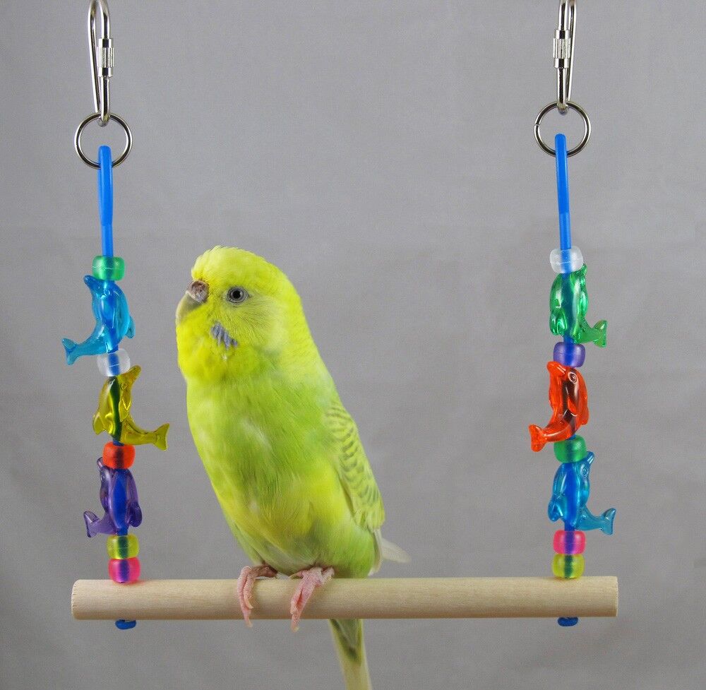Homemade Parakeet Toys Wiki
