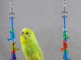 Homemade Parakeet Toys