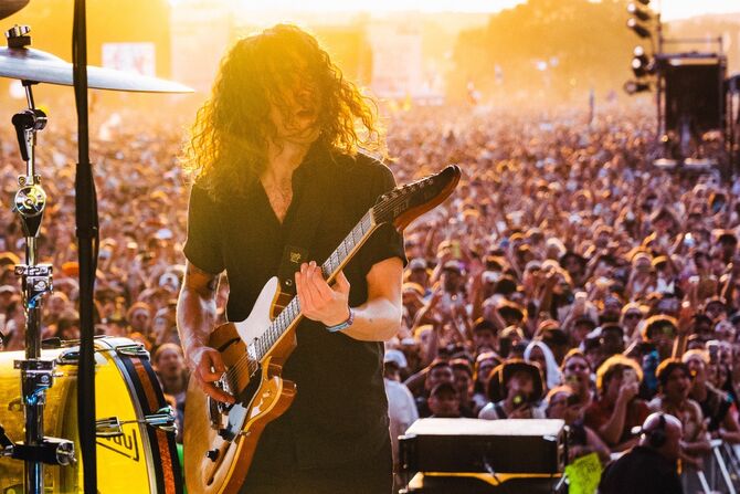 Taylor York