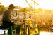 Zac Farro