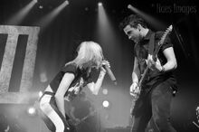 Foraoptimistfasdfsdaf