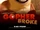 Gopher Broke