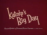 Katnip's Big Day