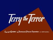 Modern terry