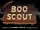 Boo Scout