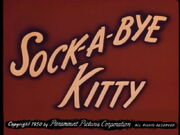 Sock kitty