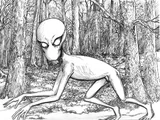 Dover Demon