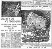 Reported Cambria County Cow Ghost