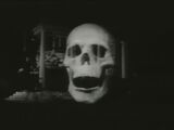 Screaming Skull of Burton Agnes Hall