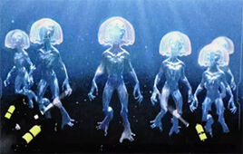 LakeBaikalSwimmer